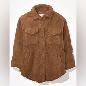 Brown American Eagle Snap Up